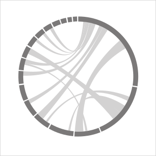 Chord Diagram