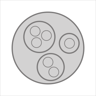 Circle Packing